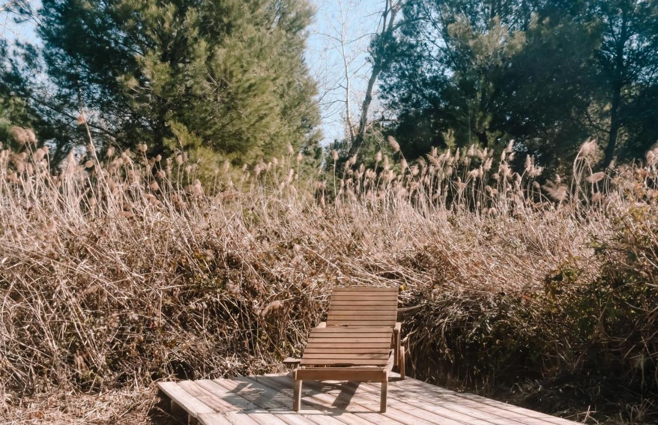 Cooltainer Retreat: Sustainable Coastal Forest Tiny House Near Barcelona Castelldefels Exterior photo